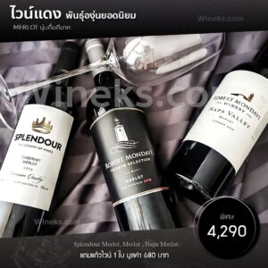 โปรไวน์ ๒๑๐๘๑๖ 48
